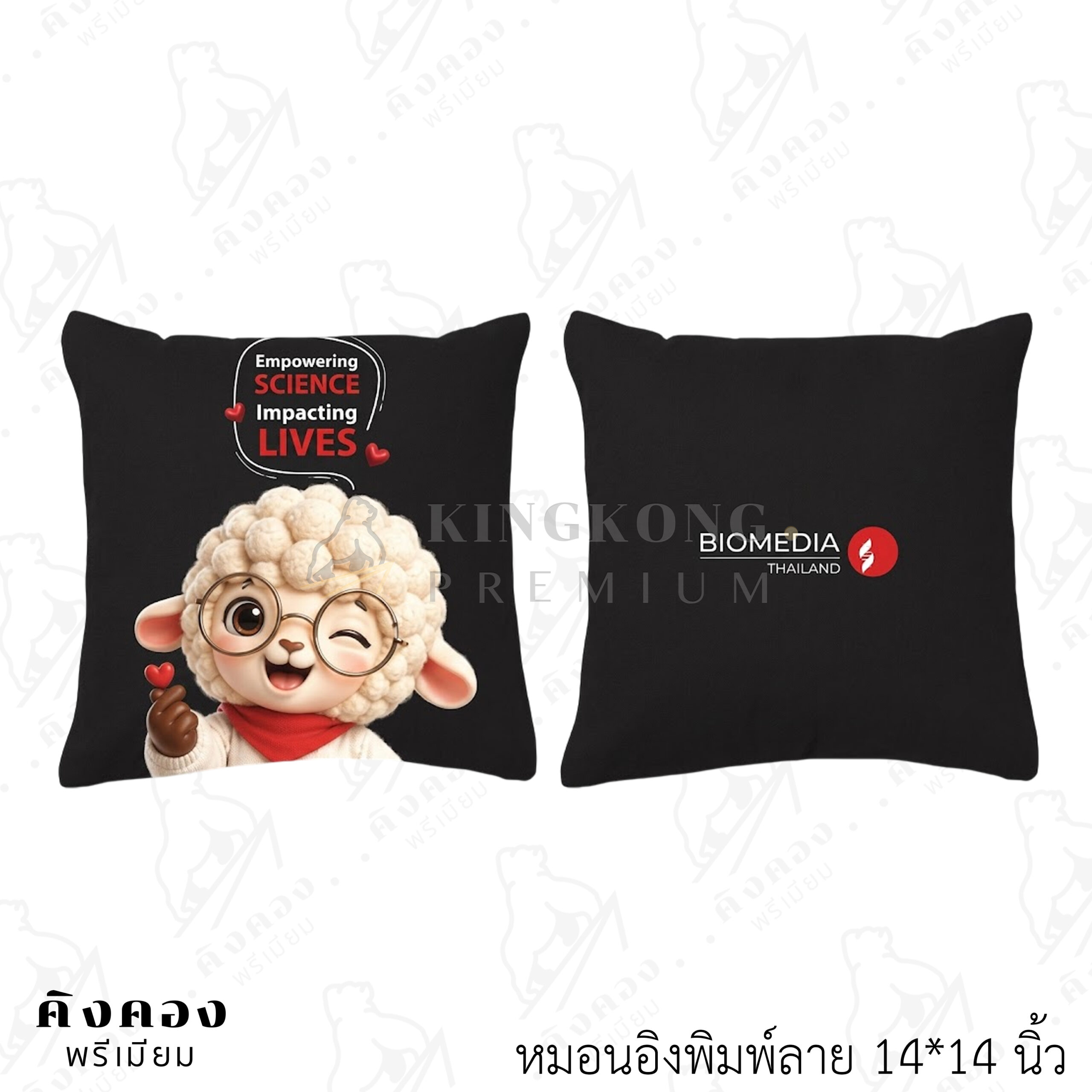 หมอนอิงสั่งผลิตตามแบบ ราคาโรงงาน พิมพ์ลาย (BIOMEDIA)