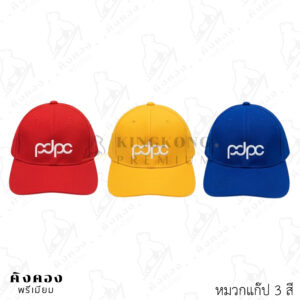 หมวกแก๊ปสีพื้น ปักโลโก้ตามต้องการ (pdpc)